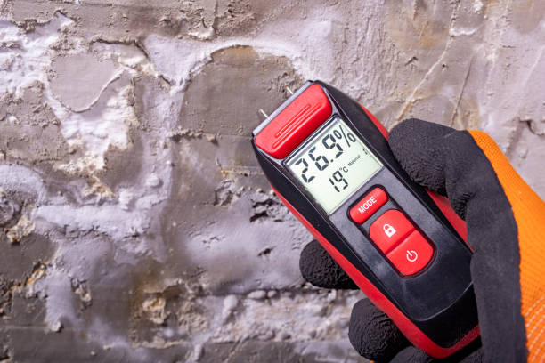 Best Fast Mold Removal  in Christiansburg, VA