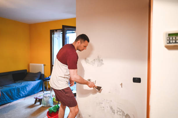 Best Attic Mold Removal  in Christiansburg, VA
